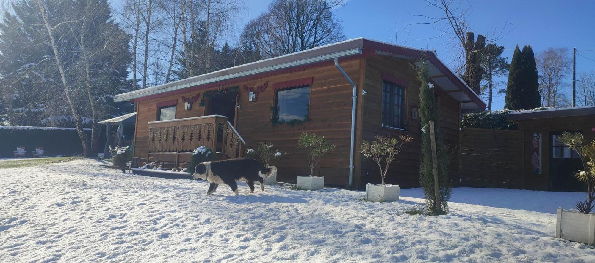 Domaine Le Lanis "Cabane De Pauline" Сен-Жирон Экстерьер фото